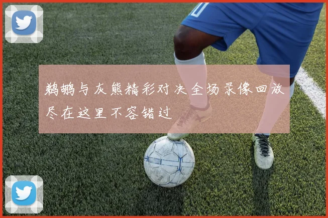鹈鹕与灰熊精彩对决全场录像回放尽在这里不容错过