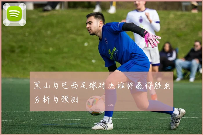 黑山与巴西足球对决谁将赢得胜利分析与预测