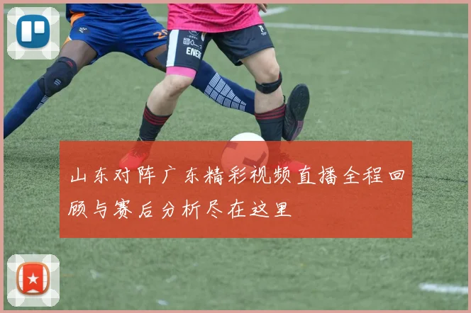 山东对阵广东精彩视频直播全程回顾与赛后分析尽在这里