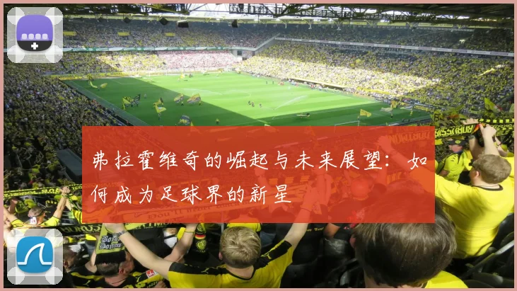 弗拉霍维奇的崛起与未来展望：如何成为足球界的新星