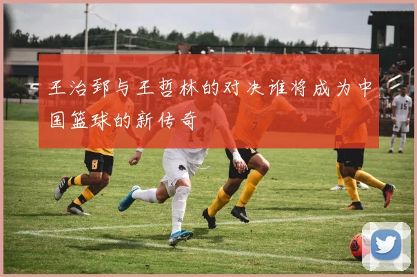 王治郅与王哲林的对决谁将成为中国篮球的新传奇