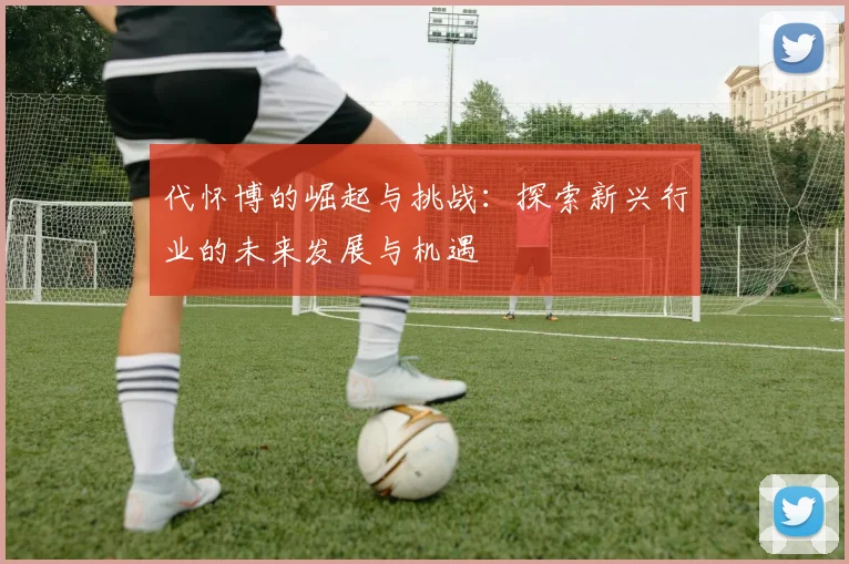 代怀博的崛起与挑战：探索新兴行业的未来发展与机遇