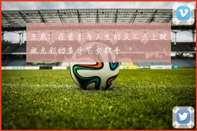 王岚：在音乐与人生的交汇点上绽放光彩的多才艺女歌手