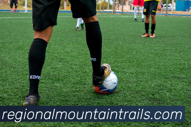 豪门国际平台生态图